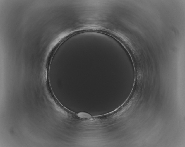 X0000111461414200907271242