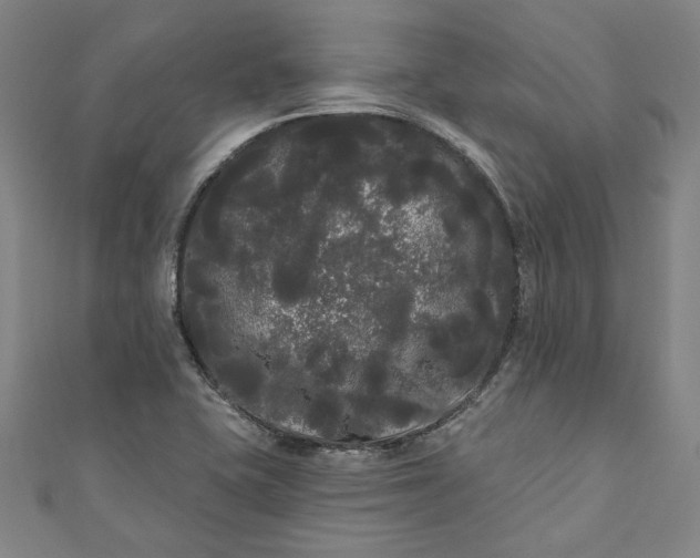 X0000111461415200907271242