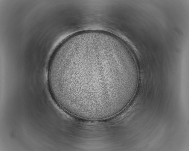 X0000111461416200907271242