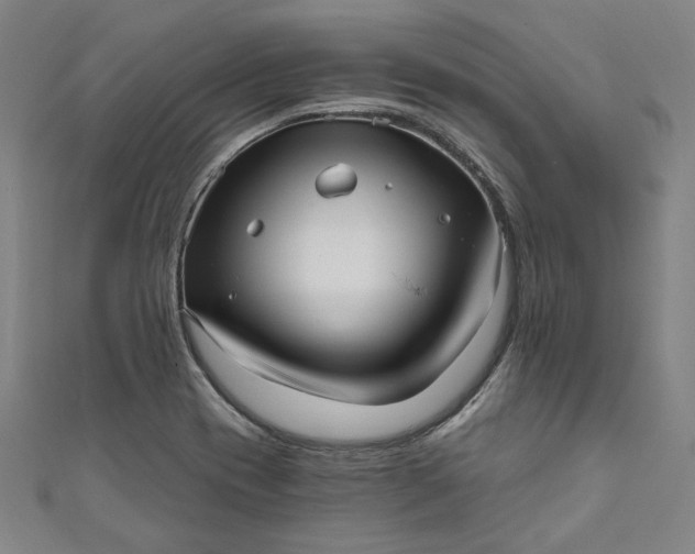 X0000111461417200907271242