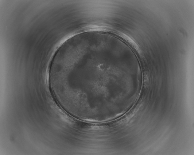 X0000111461419200907271242