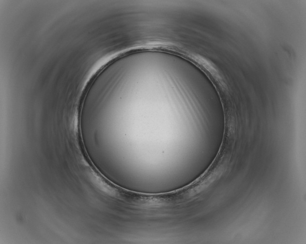 X0000111461420200907271242