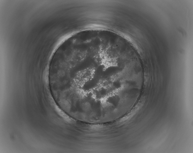 X0000111461421200907271242