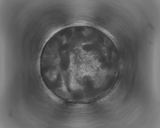 X0000111461423200907271242