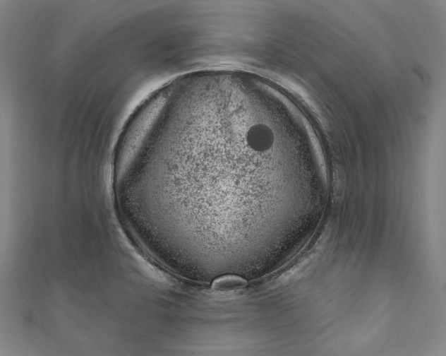 X0000111461424200907271242