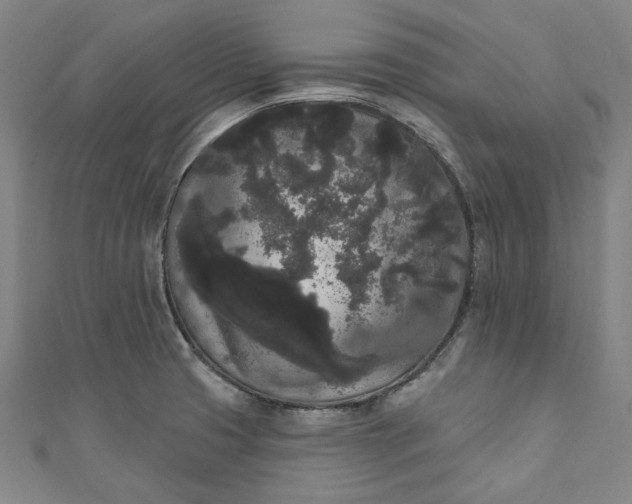 X0000111461425200907271242