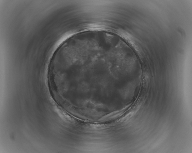 X0000111461427200907271242