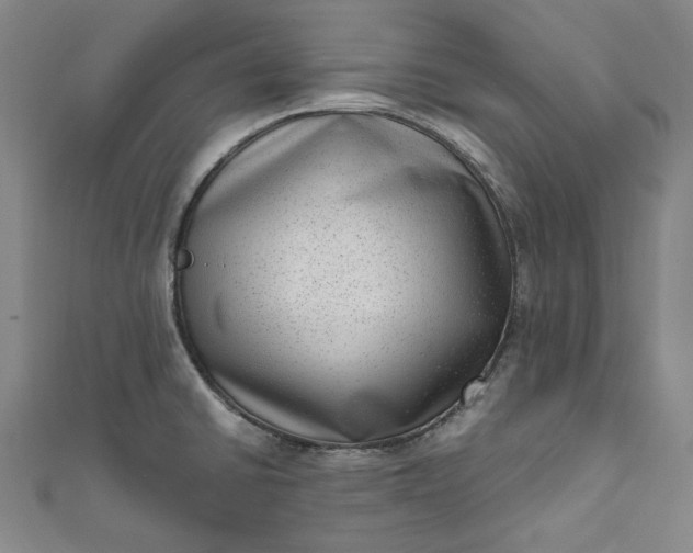 X0000111461430200907271242