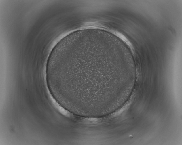 X0000111461431200907271242