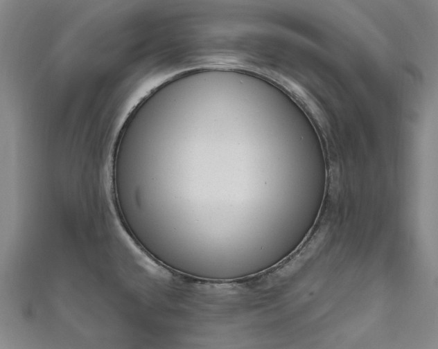 X0000111461432200907271242