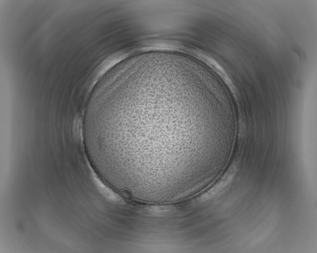 X0000111461433200907271242