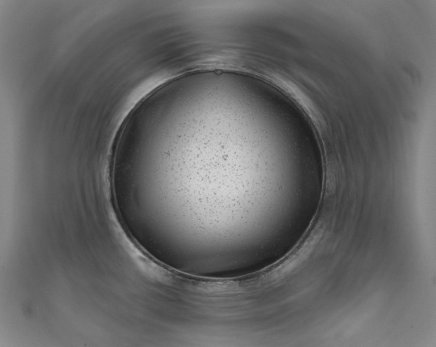 X0000111461434200907271242