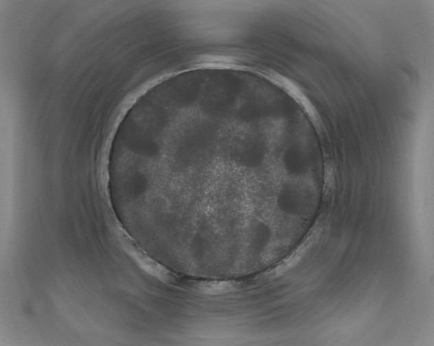 X0000111461435200907271242