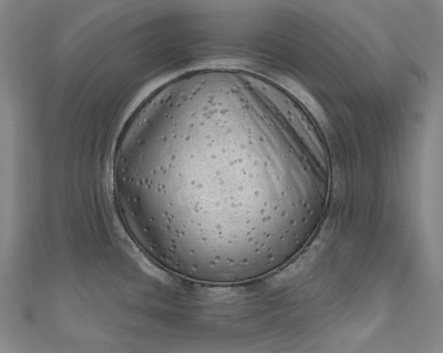 X0000111461436200907271242