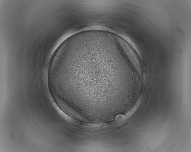 X0000111461438200907271242