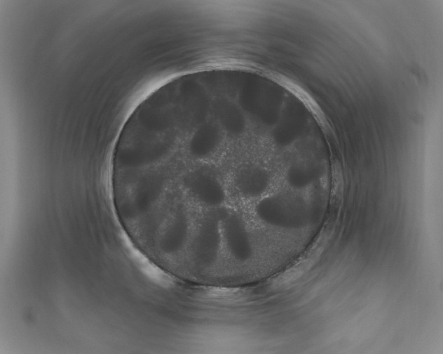 X0000111461439200907271242