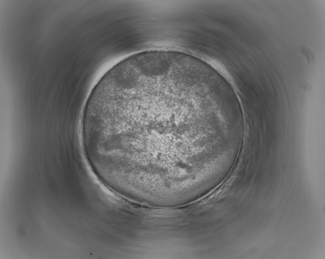 X0000111461440200907271242