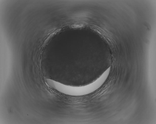 X0000111461441200907271241