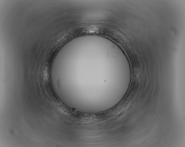 X0000111461442200907271241