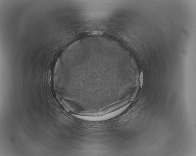 X0000111461443200907271241