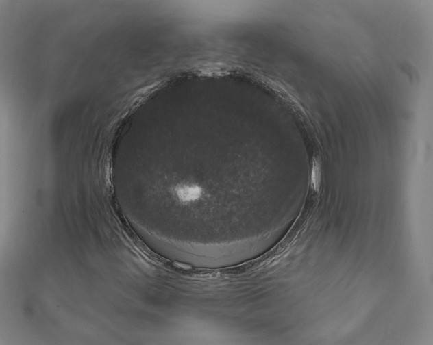 X0000111461444200907271241