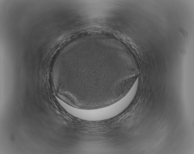 X0000111461445200907271241