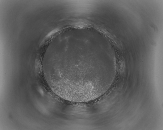 X0000111461446200907271241