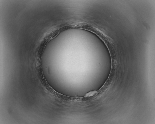 X0000111461447200907271241