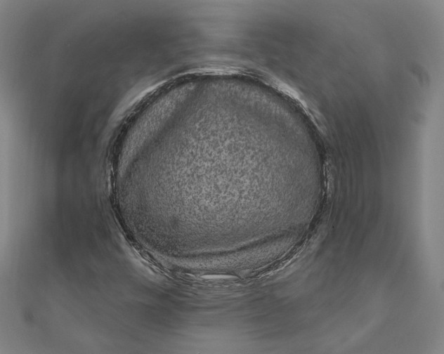 X0000111461448200907271241