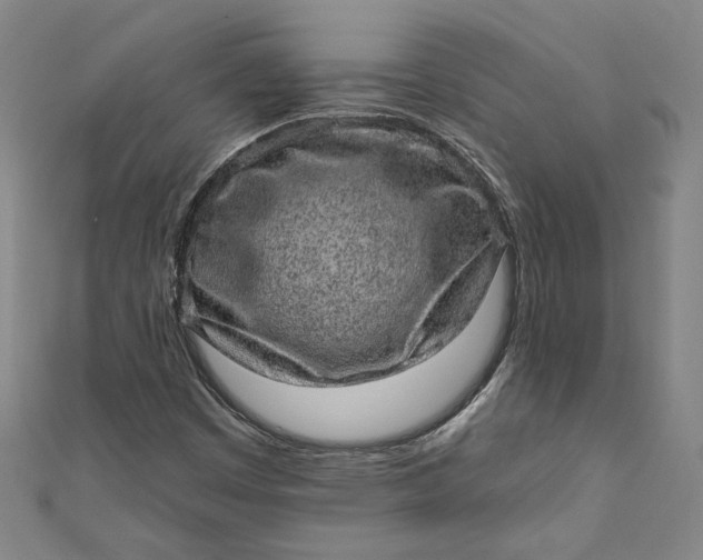 X0000111461449200907271241