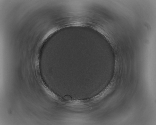 X0000111461450200907271241