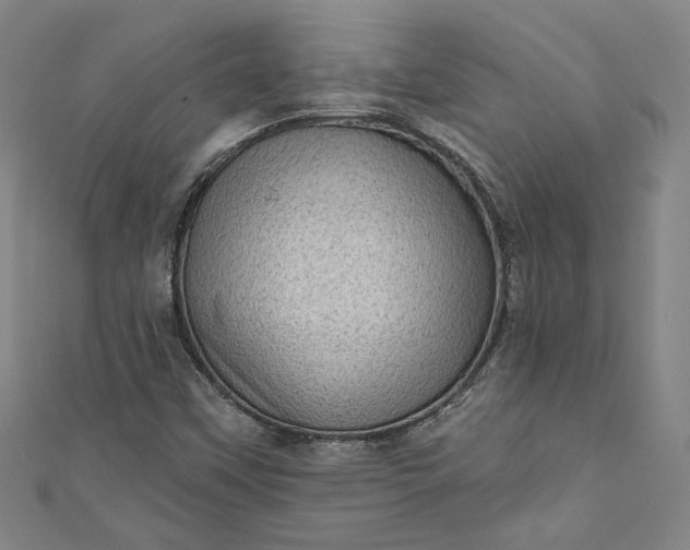 X0000111461451200907271241