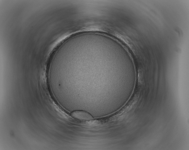 X0000111461452200907271241