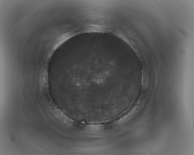 X0000111461453200907271241