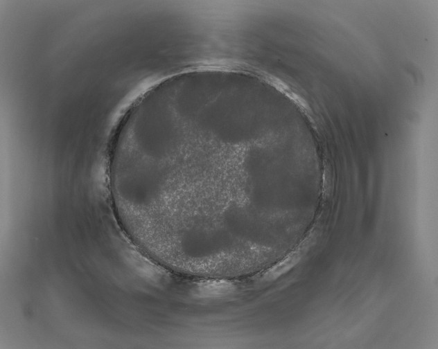 X0000111461454200907271241