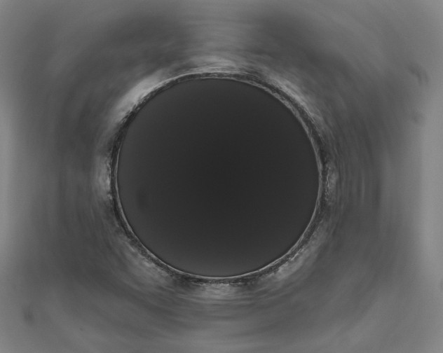 X0000111461455200907271241