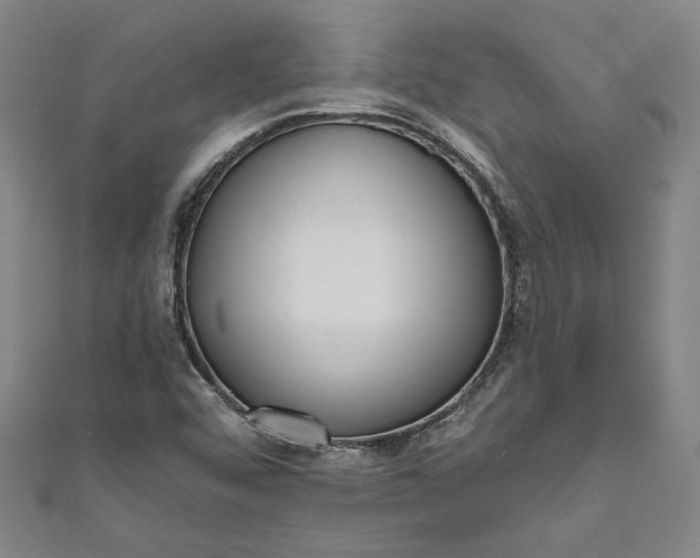 X0000111461456200907271241