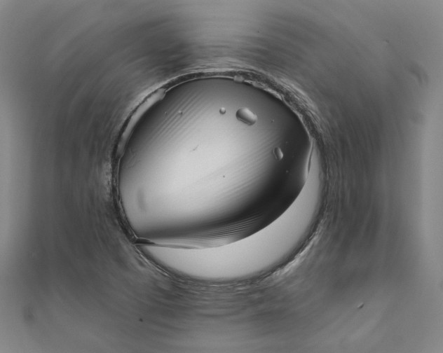 X0000111461457200907271241