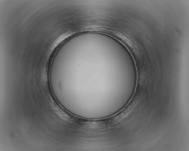 X0000111461458200907271241