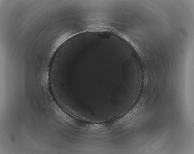 X0000111461459200907271241