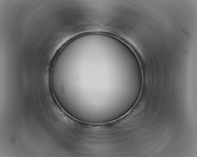 X0000111461460200907271241