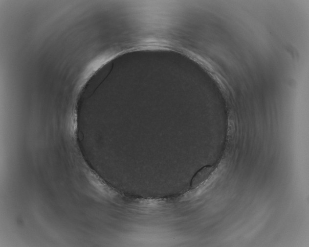 X0000111461461200907271241