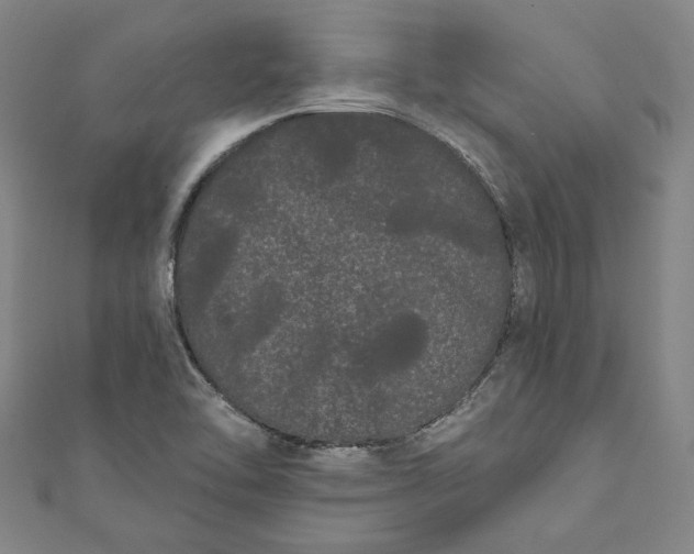 X0000111461462200907271241