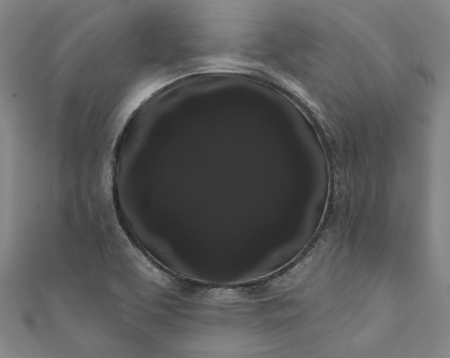 X0000111461463200907271241