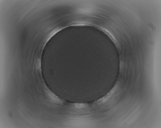 X0000111461465200907271241