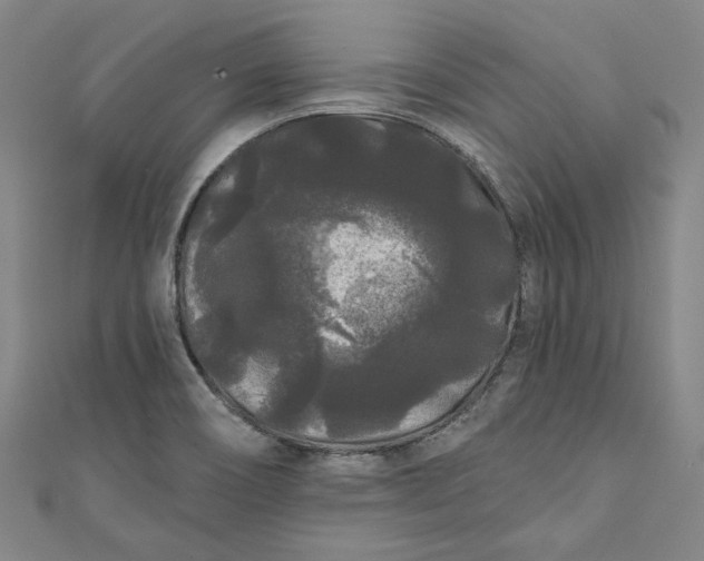 X0000111461466200907271241