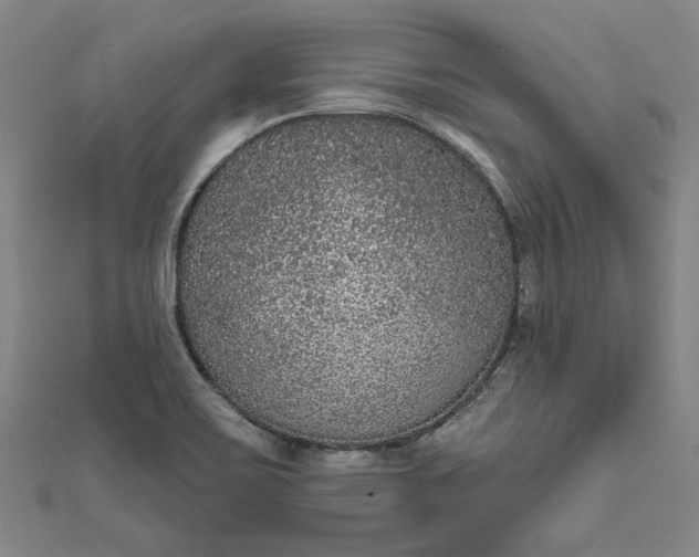 X0000111461467200907271241