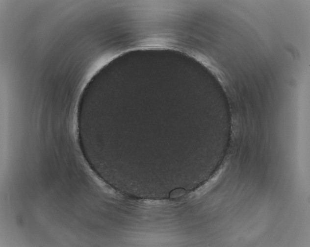 X0000111461469200907271241