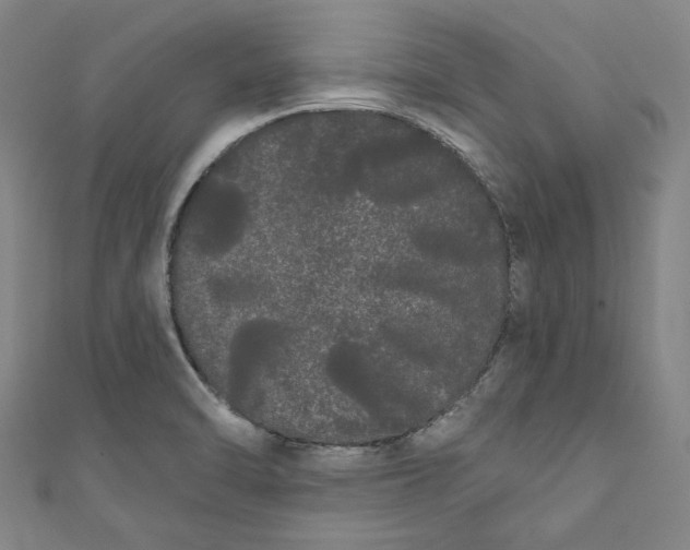 X0000111461470200907271241