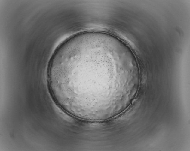 X0000111461471200907271241